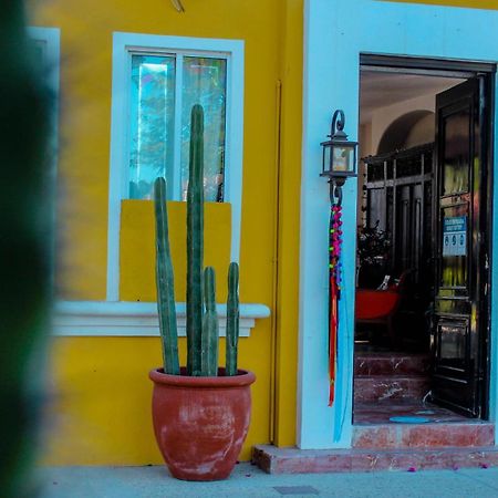 El Encanto Inn & Suites San José del Cabo Kültér fotó